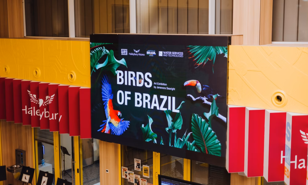 Capa Notícia - Pássaros do Brasil